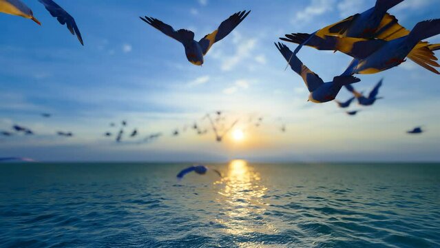 A flock of seagulls flew towards the sun