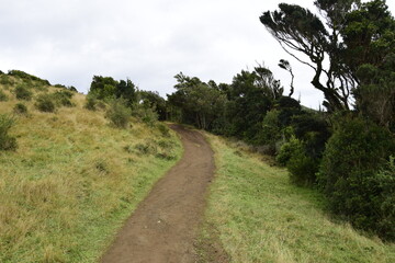 The landscape of the ocean and the rocky coast in Cucao on the way to Muelle de las Almas (Dock of Souls). Chiloe Island