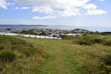 QUELLON, CHILE. Residential area with typical wooden houses