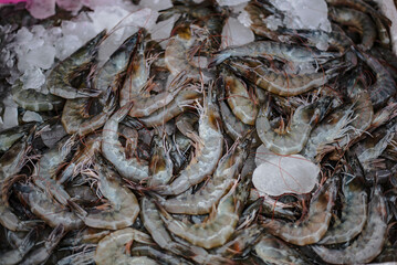 White shrimp frozen in ice are sold at Ban Phe Seafood Market, Rayong, Thailand.