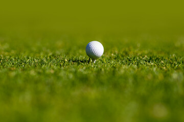 Golf ball close-up in soft focus at grass. Sport golf ball on background with copy space.