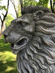 Fototapeta na wymiar Stone lion in the park. Monument to the lion, macro photo. For the Internet, postcards, books, notebooks, brochures.
