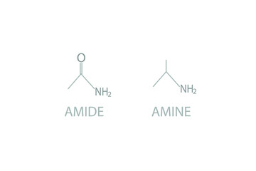 Amide and amine molecular skeletal chemical formula.	