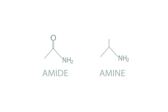 Amide and amine molecular skeletal chemical formula.	