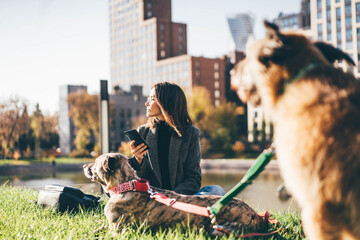 Woman walk with two dog, using phone in the park