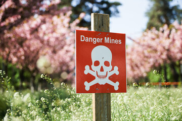 A plate with a skull and crossbones and the inscription Danger Mines against the backdrop of cherry...