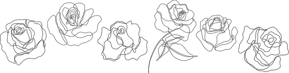 Rose flower outline vector. Set of hand drawn sketches. Line Ink drawing. Eps 10