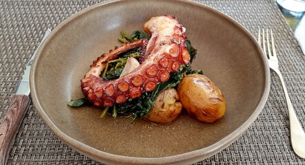 grilled octopus typical spanish dish gourmet food