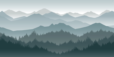 Mountain landscape with pines and forests in the morning or evening.