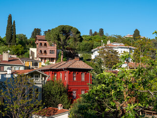Houses in the wooded area. city background