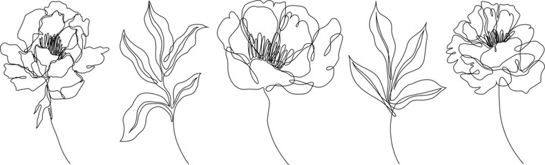 Peony flowers isolated vector illustration. Vector wildflowers for background. Abstract botanical art. Simple minimalist art set. Continuous line drawing.