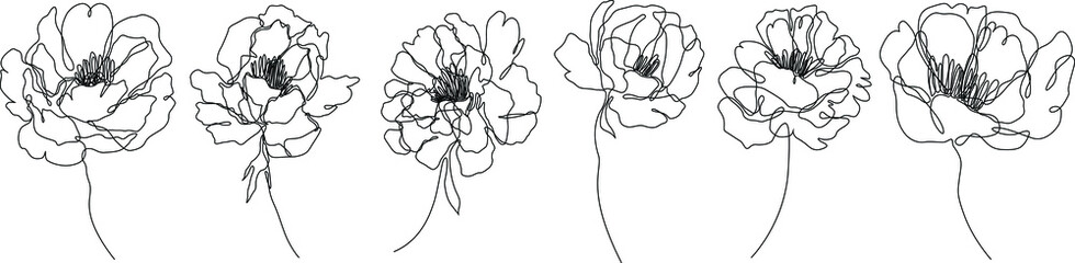 Peony flowers isolated vector illustration. Vector wildflowers for background. Abstract botanical art. Simple minimalist art set. Continuous line drawing.