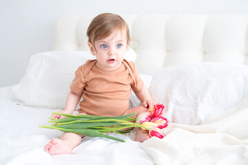 cute baby in brown cotton bodysuit sitting on bed with pink tulips. child celebrates spring holidays