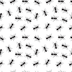 Seamless pattern with ants. Vector illustration white background