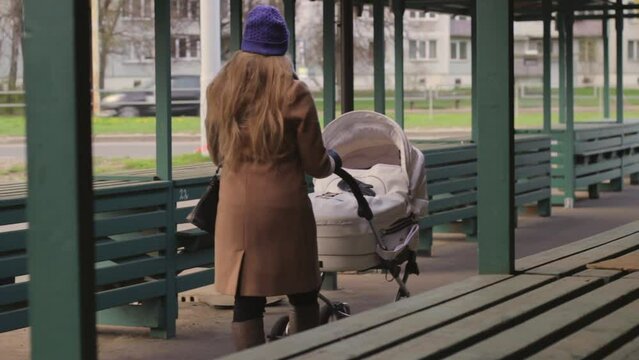 Woman walks with child stroller down the street in city landscape. Mid range back view