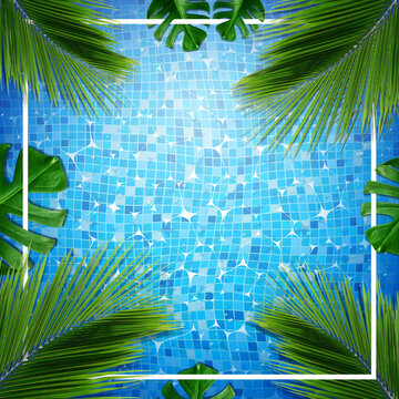 summer backgroundwith tropical leaf and summer title