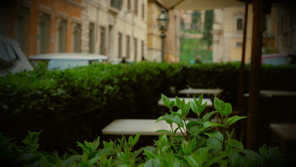old traditional italian courtyard with stone stairs and potted plants