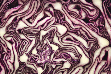 Closeup texture shot of inside a red cabbage