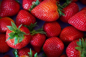 fraises en fetes