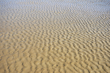 Saint-Malo - Sable humide