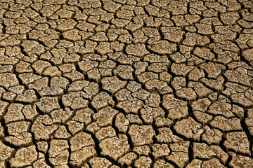 Cracked, parched land after a drought