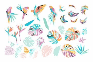 Vector illustrations of parrots, tropical leaves, bananas. Clipart, isolated elements. - 504329859
