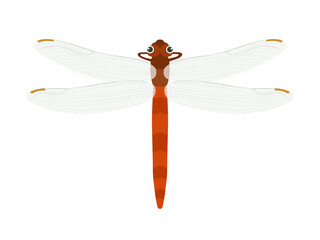 赤とんぼのイラスト