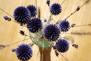 Echinops ritro, Azurite