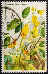 Kenya - circa 1985: a stamp printed in Kenya shows Njuga Pagwa, is a species of flowering plant, circa 1985