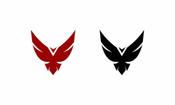 Bird shield simple
