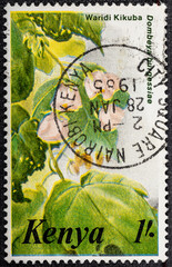Postage stamp printed in Kenya shows Dombeya burgessiae, Medicinal Herbs of Kenya serie, circa 1983