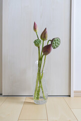 Lotus flowers displayed in a glass vase