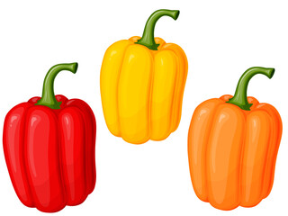 Sweet bell pepper set. Illustration of vegetables in cartoon simple flat style.