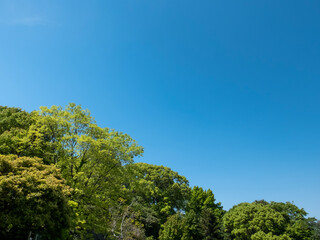 青空と緑の風景