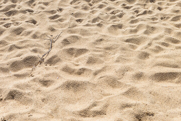 Sandy beach background, nature texture background