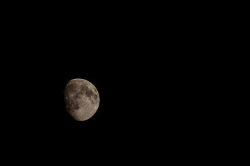 Close up of new moon with visible craters on its surface on black night sky background with copy space