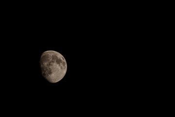 Close up of new moon with visible craters on its surface on black night sky background with copy space