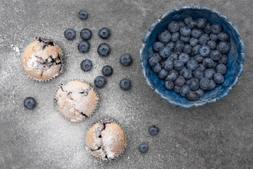 Fototapeta na wymiar On top shot of a homemade blue clay bowl filled with fresh blueberries. Next to it are blueberry muffins sprinkled with powdered sugar.