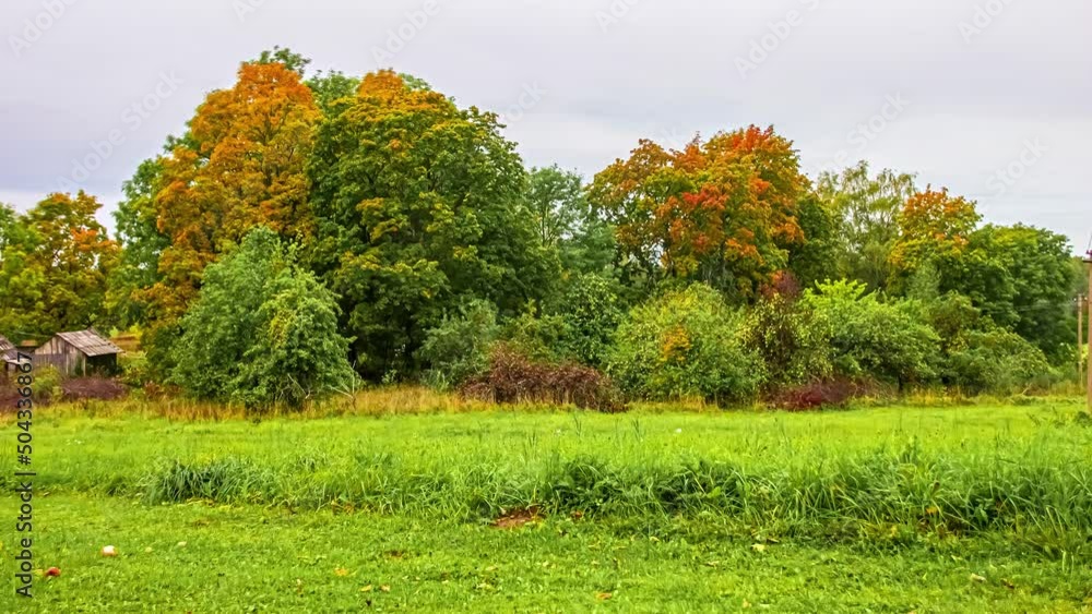 Aufkleber static shot of clouds blowing over group of trees surrounded by green grasslands in timelapse in the