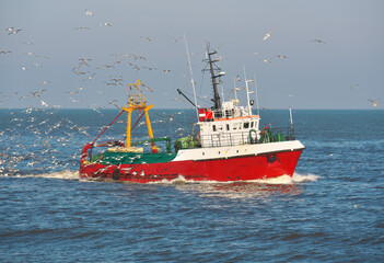 Fishing trawler returns from fishing. The ship is surrounded by seagulls.