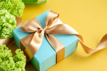 黄色い無地の背景と青いプレゼントと緑のビバーナムのさわやかなプレゼントのイメージ　父の日