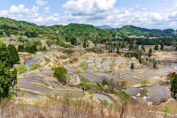 Hoshitoge Terraced Rice Fields
