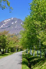 春の猪苗代町営牧場（福島県・猪苗代町）
