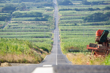 Sugar Road in Kikai island.