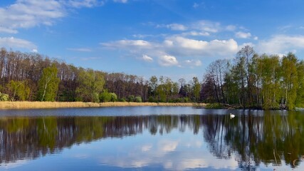 WIDOK NA JEZIORO. POPOŁUDNIE NAD JEZIOREM. CZAS WIOSNY. - obrazy, fototapety, plakaty