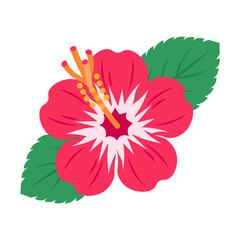 赤いハイビスカスと葉のイラスト