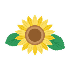 ひまわりと葉のイラスト