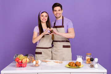 Portrait of two peaceful idyllic partners hands fingers show heart symbol isolated on purple color background