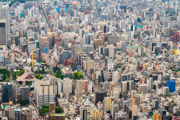 Fototapeta na wymiar 空から見た大都会東京