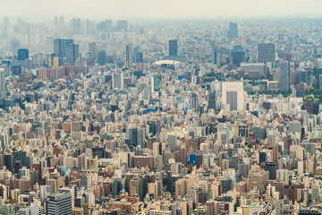 Fototapeta na wymiar 空から見た大都会東京